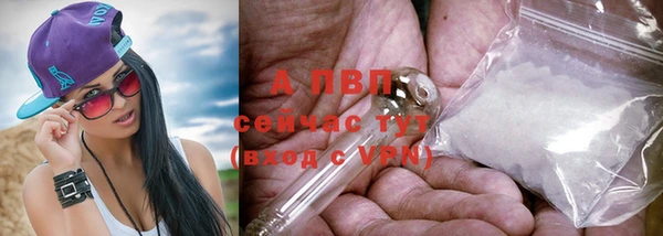 шишки Володарск