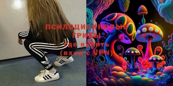 шишки Волоколамск