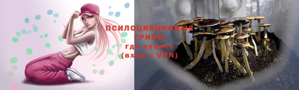 шишки Володарск