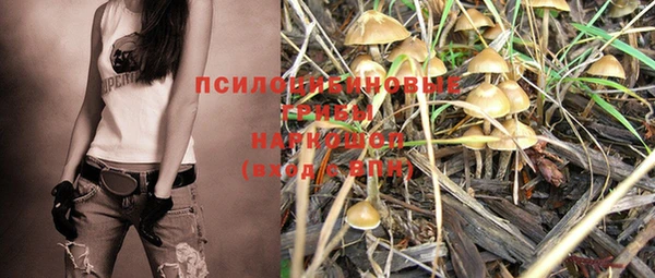 шишки Володарск