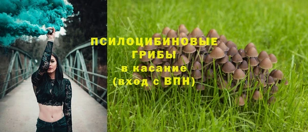 шишки Волоколамск