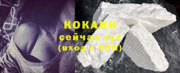 шишки Володарск