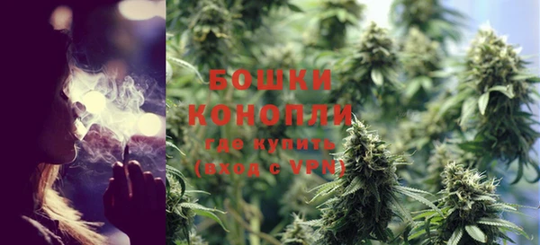 шишки Володарск