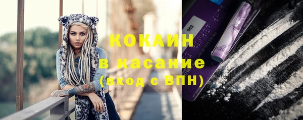 шишки Волоколамск
