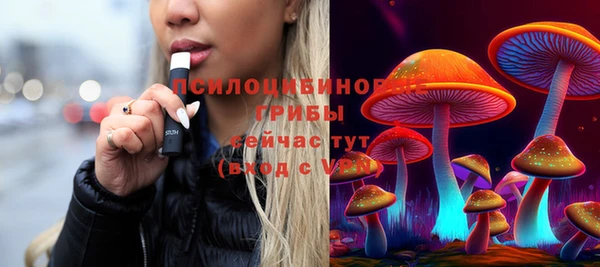 шишки Володарск