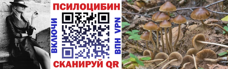 Галлюциногенные грибы прущие грибы Новосиль