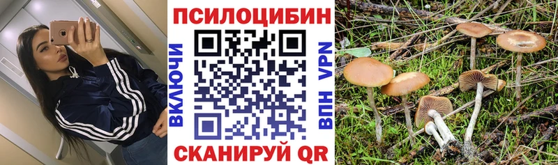 Купить где  Новосиль  Галлюциногенные грибы мухоморы 